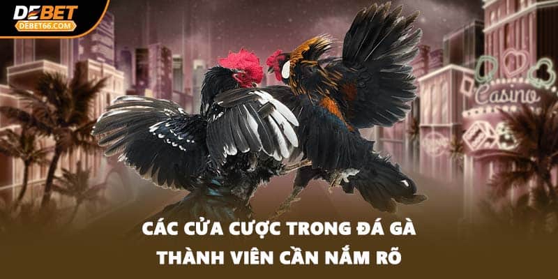 Các cửa cược trong đá gà thành viên cần nắm rõ