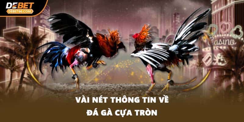 Vài nét thông tin về đá gà cựa tròn